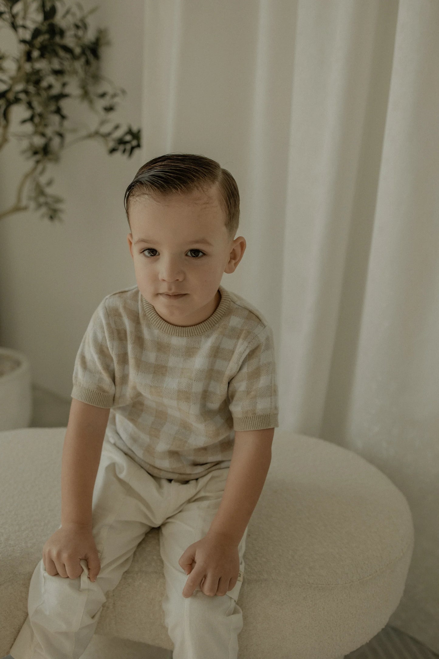 Shirt Sleeve Sweater