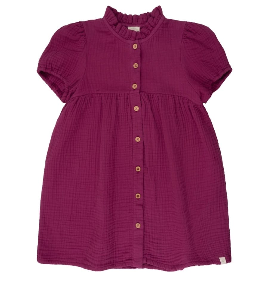 Dress Berry Sleeve